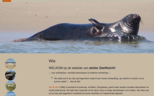 Zeeinzicht - 2008 - WebdesignPlus
